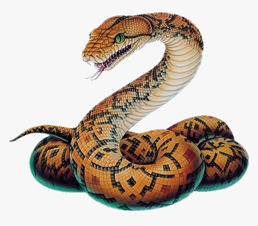 Python Snake Drawing, HD Png Download, Free Download