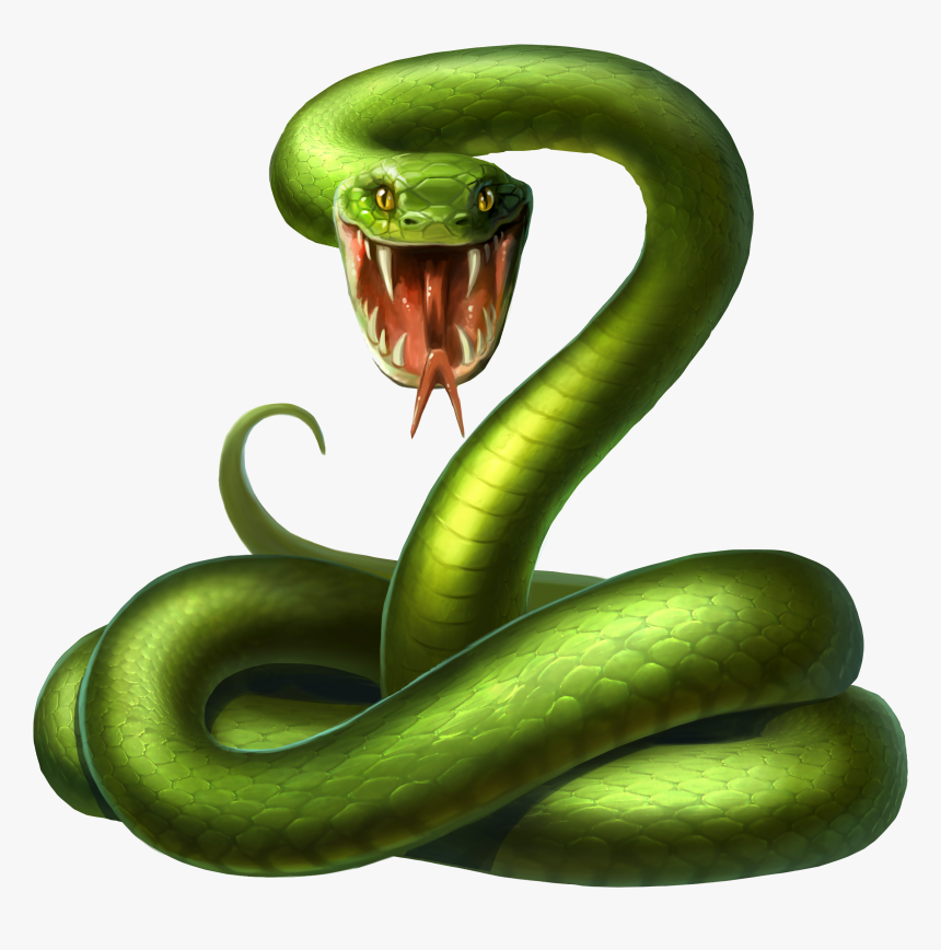 Smooth Green Snake Clipart Pear - Green Snake, HD Png Download, Free Download