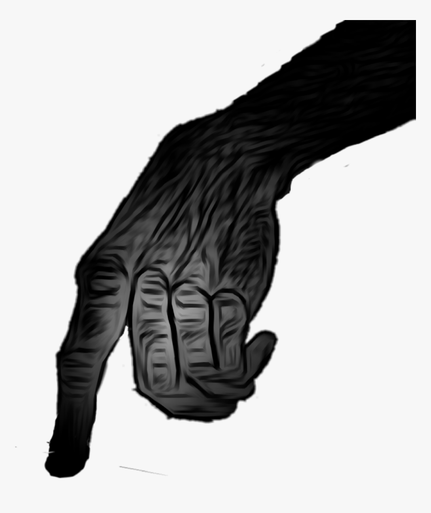 #zombie #hand #creepy #scary #touch #finger - Creepy Hand Png, Transparent Png, Free Download