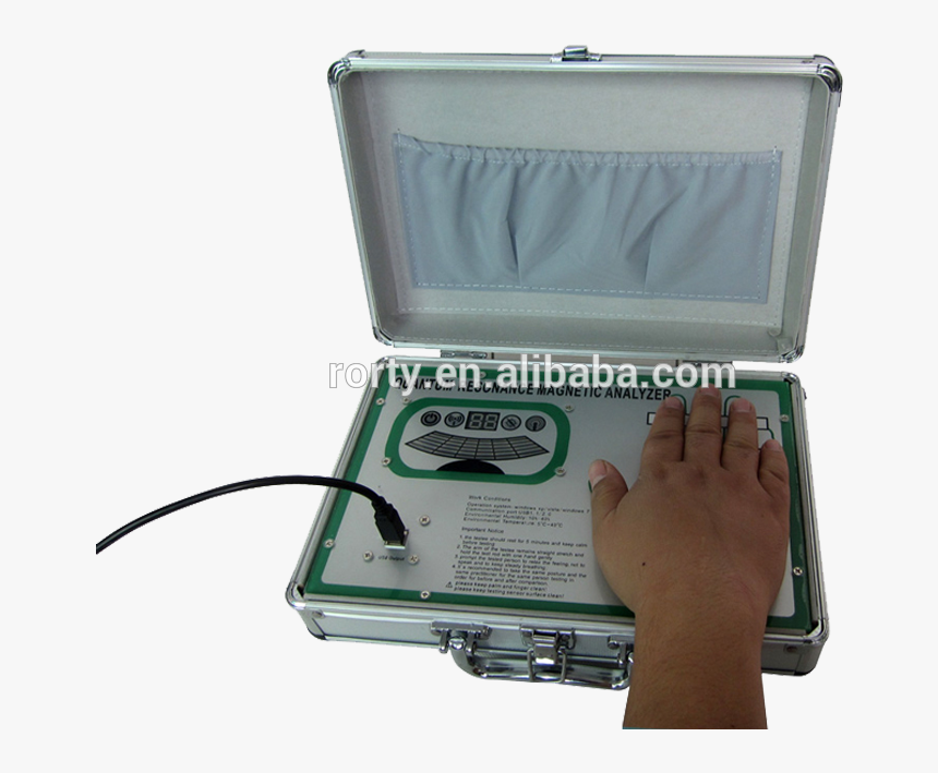 Hand, HD Png Download, Free Download