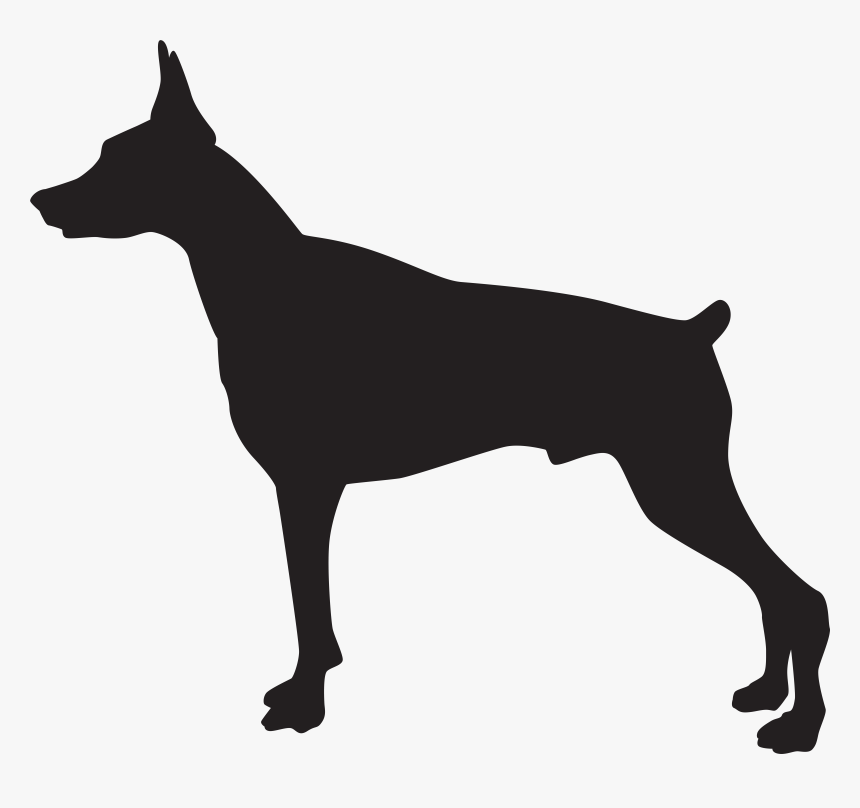 Dobermann Rottweiler German Shepherd Pit Bull German, HD Png Download, Free Download