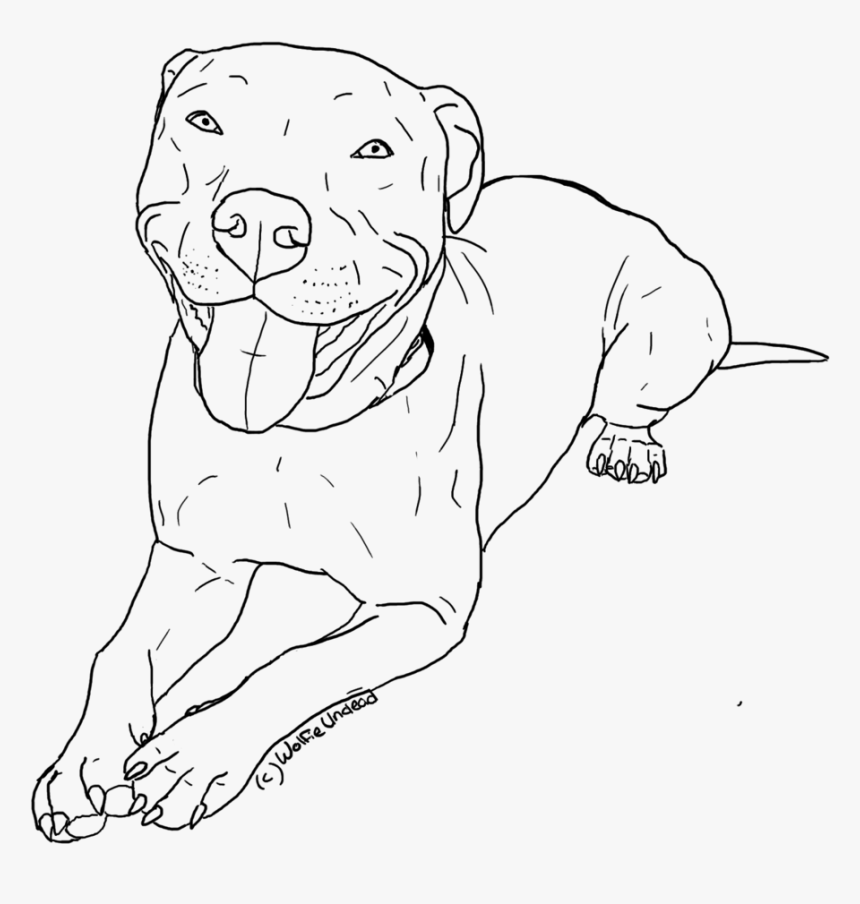 Transparent Pitbull Clipart - Pitbull Coloring Pages, HD Png Download, Free Download