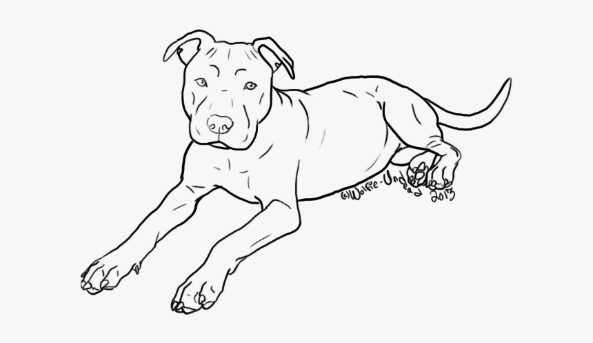 Dog Breed Puppy American Pit Bull Terrier - Outline Of A Pitbull, HD Png Download, Free Download