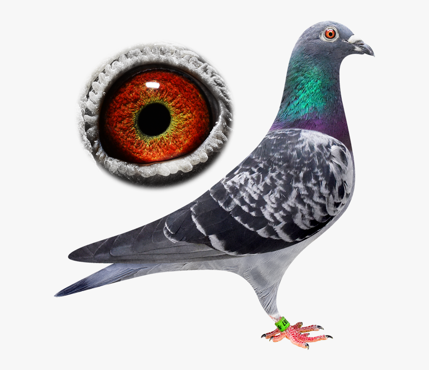 2018, HD Png Download, Free Download