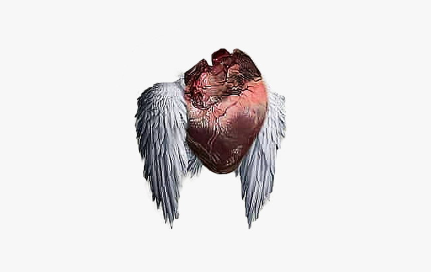 Heartless Editing Png Download For Picsart And Photoshop - Heart Png For Editing, Transparent Png, Free Download