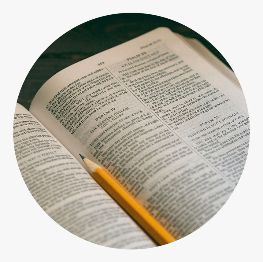Bible , Png Download - Bible Reading, Transparent Png, Free Download