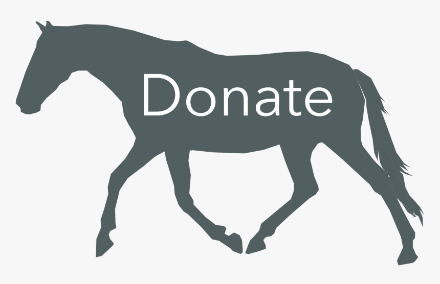 Wild Horse Sanctuary - Stallion, HD Png Download, Free Download