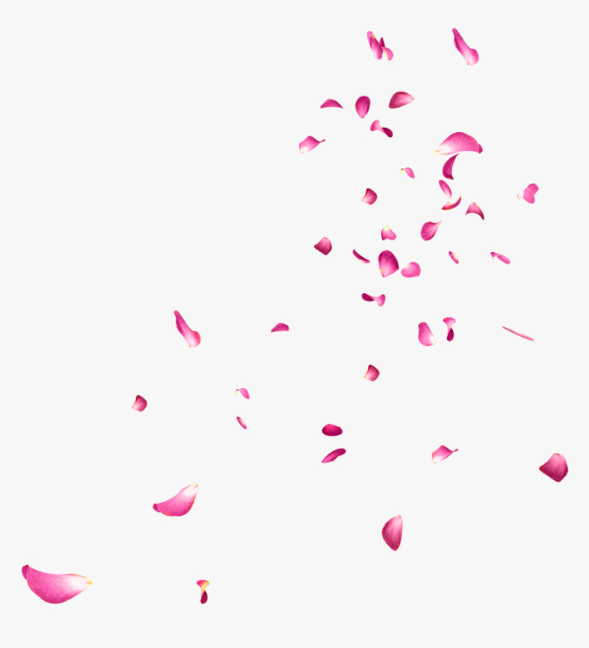 Falling Rose Petals Png Picture - Falling Petals Gif Transparent, Png Download, Free Download