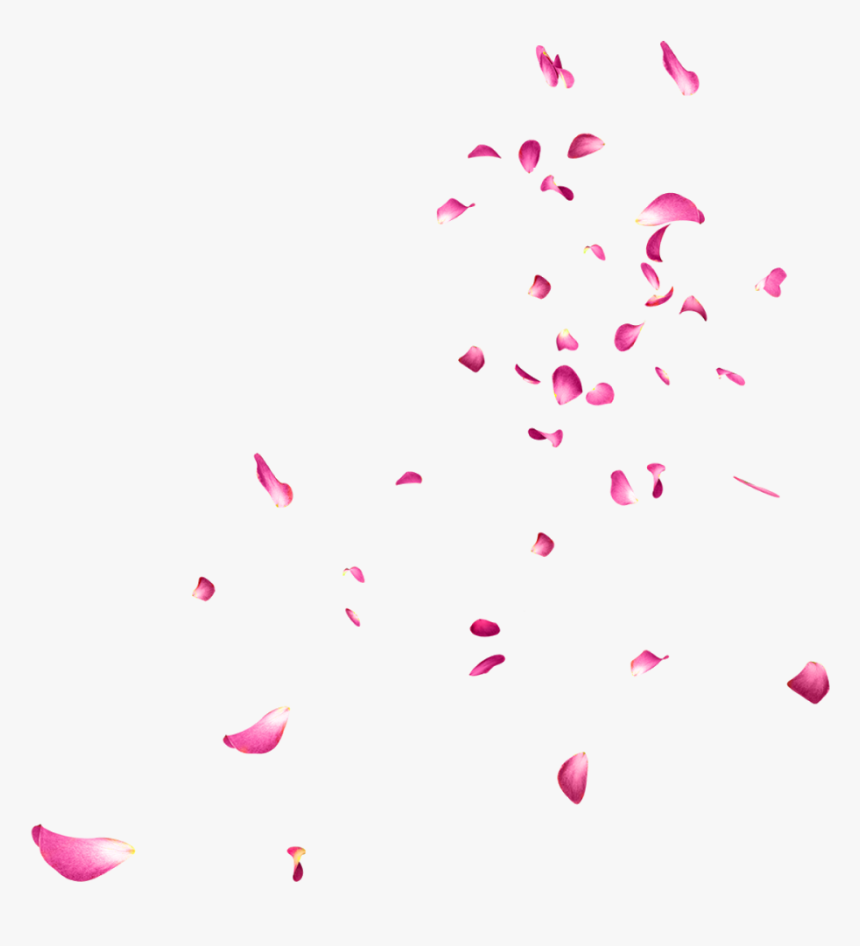 Falling Rose Petals Png Picture - Falling Petals Gif Transparent, Png Dow.....