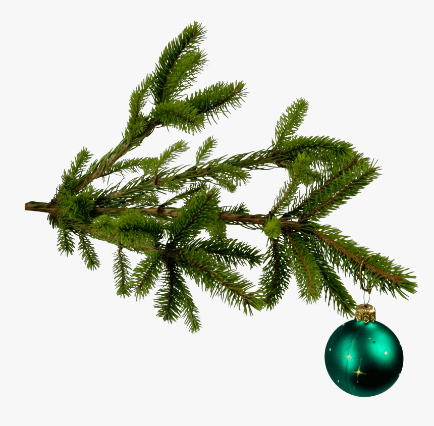 Christmas Png Tree Ball Image - Christmas Tree Leaves Transparent, Png Download, Free Download