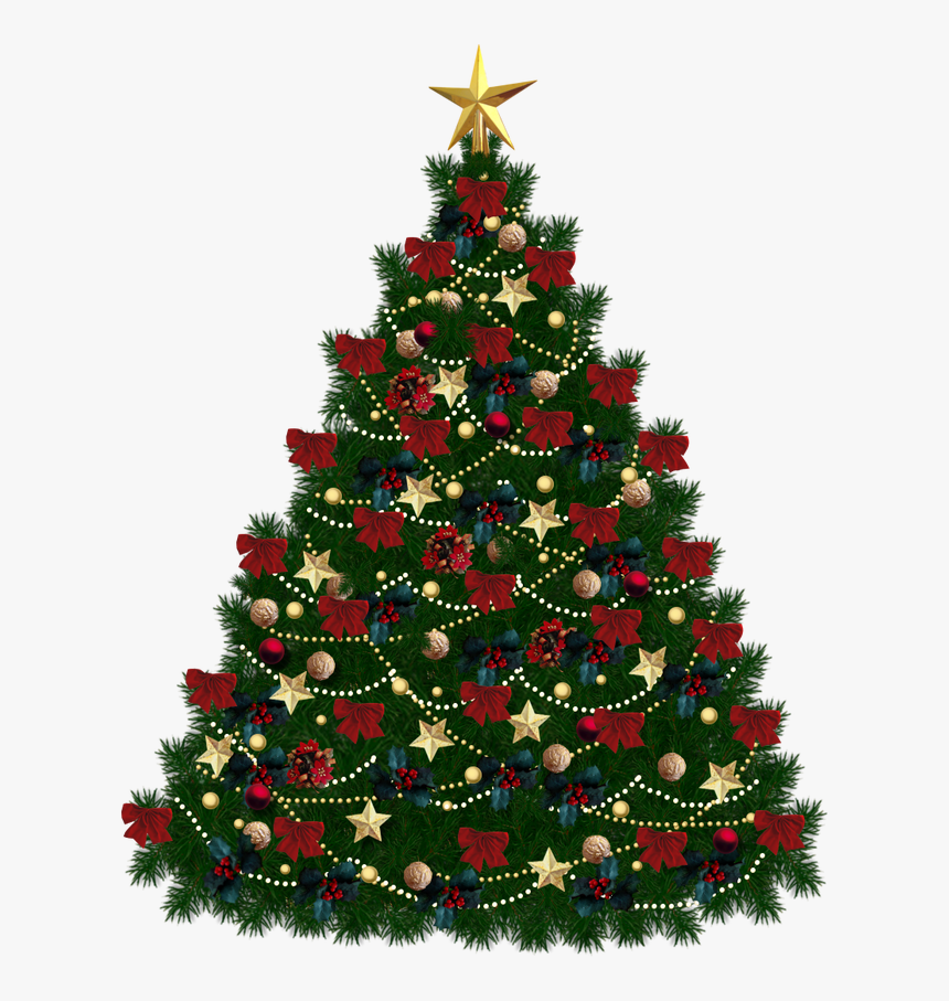 Download Christmas Png Hd - Christmas Tree Blank Background, Transparent Png, Free Download