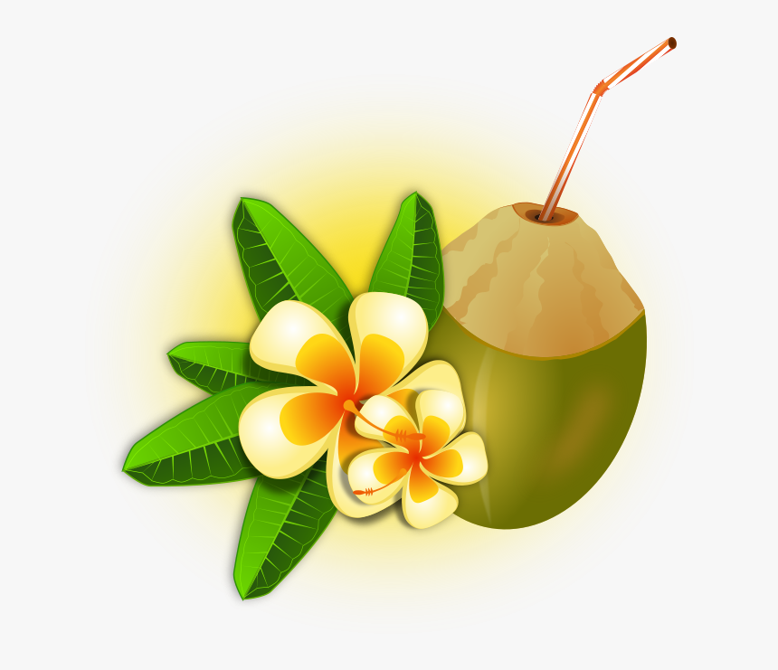 Christmas Ornament Free Download Png - Hawaiian Coconut Png, Transparent Png, Free Download