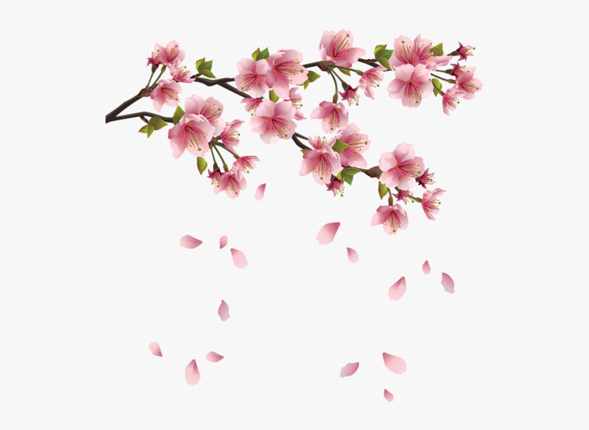 Transparent Sakura Flower Png, Png Download, Free Download