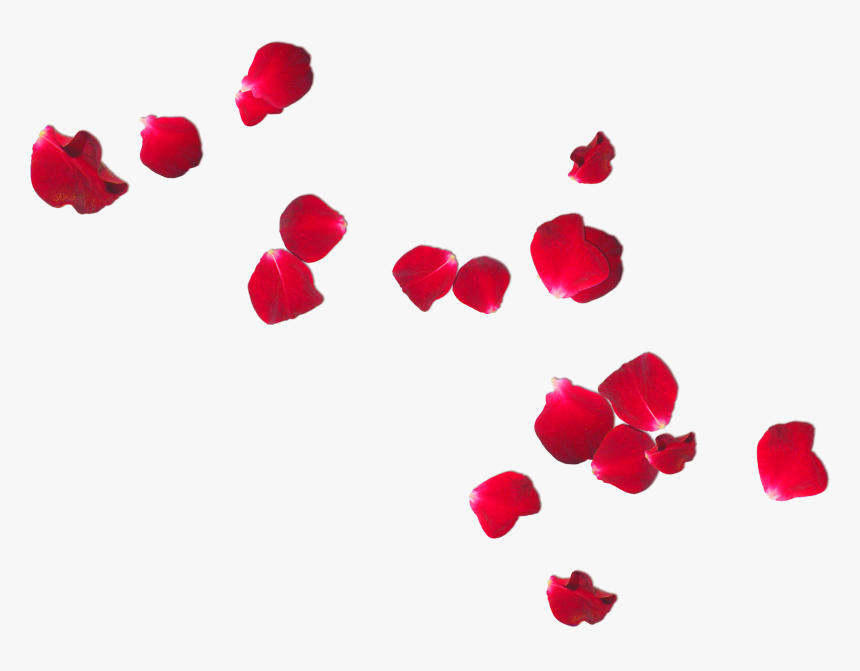 Clip Art Falling Rose For - Rose Petals Free Png, Transparent Png, Free Download
