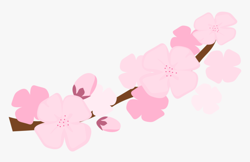 Transparent Cherry Blossom Clip Art - Sakura Flower Branch Clipart, HD Png Download, Free Download