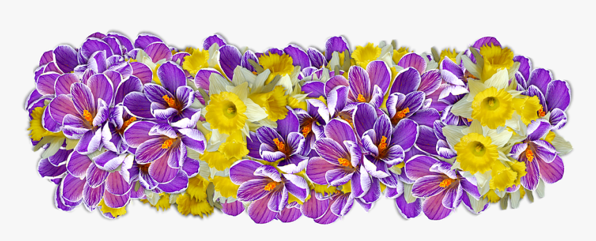 Flowers, Decoration, Line Of Flowers - Цветы Линия Пнг, HD Png Download, Free Download