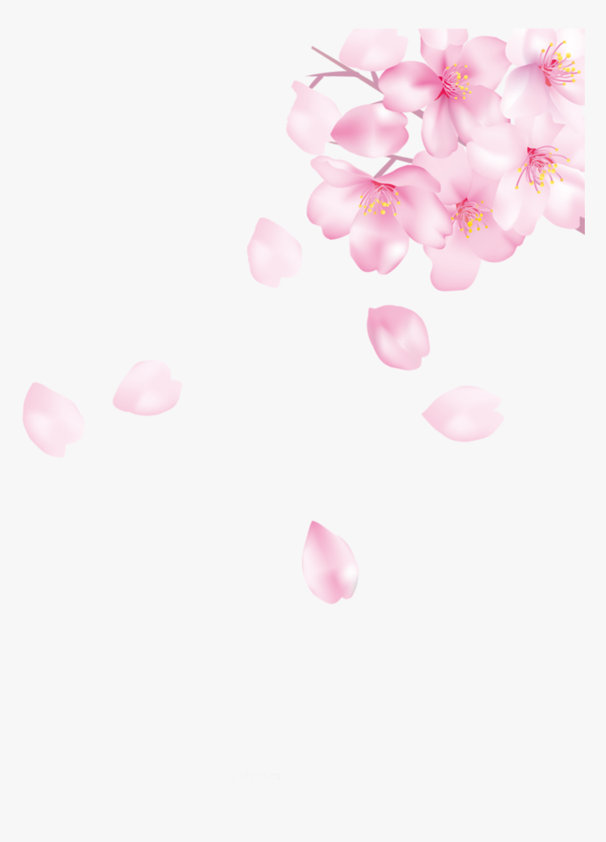 #ftestickers #cherryblossoms #petals #falling #floating - Cherry Blossom, HD Png Download, Free Download