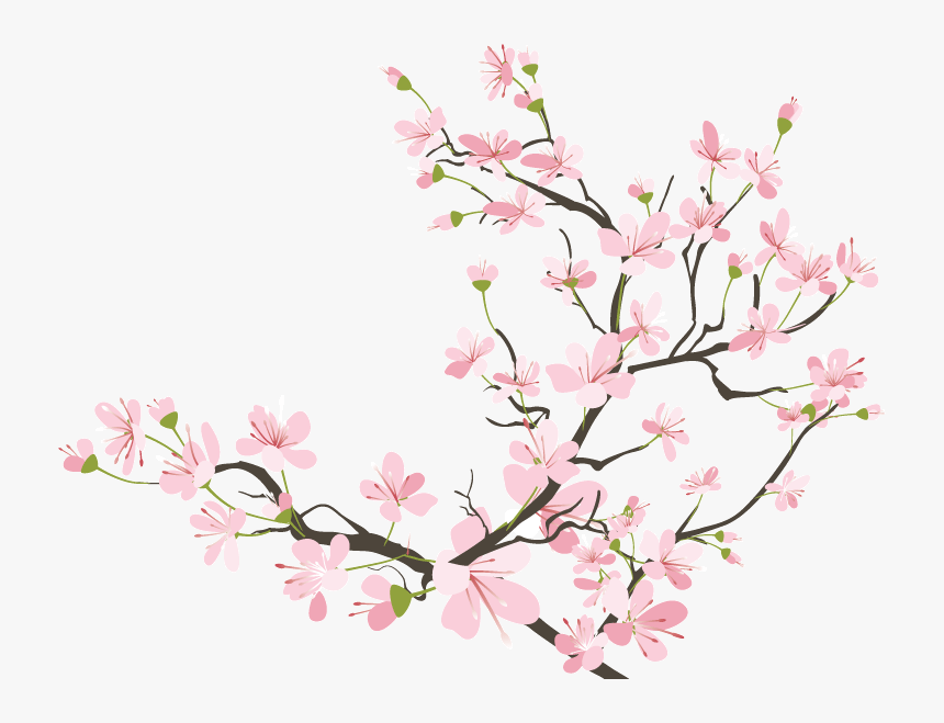 Japanese Cherry Blossom Transparent, HD Png Download, Free Download