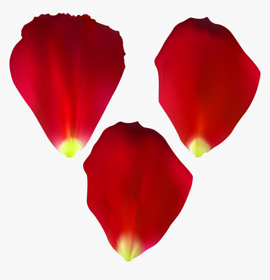 Rose Petals Set Transparent Clip Artu200b Gallery Yopriceville, HD Png Download, Free Download