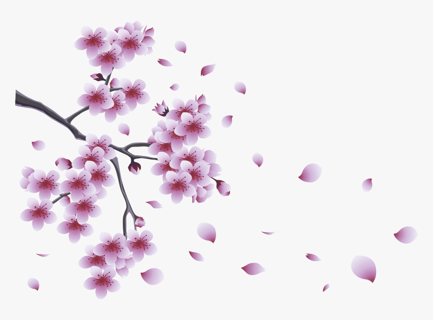 Branches With Flowers Png, Transparent Png, Free Download