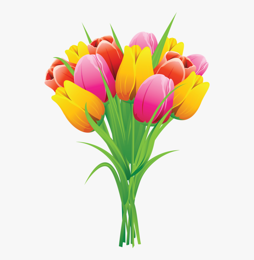 Crocus Clipart Flower Gif - Tulips Clipart, HD Png Download, Free Download
