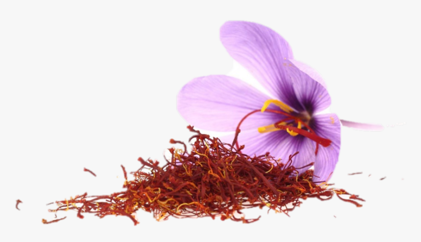 Transparent Crocus Png - Saffron In Sri Lanka, Png Download, Free Download