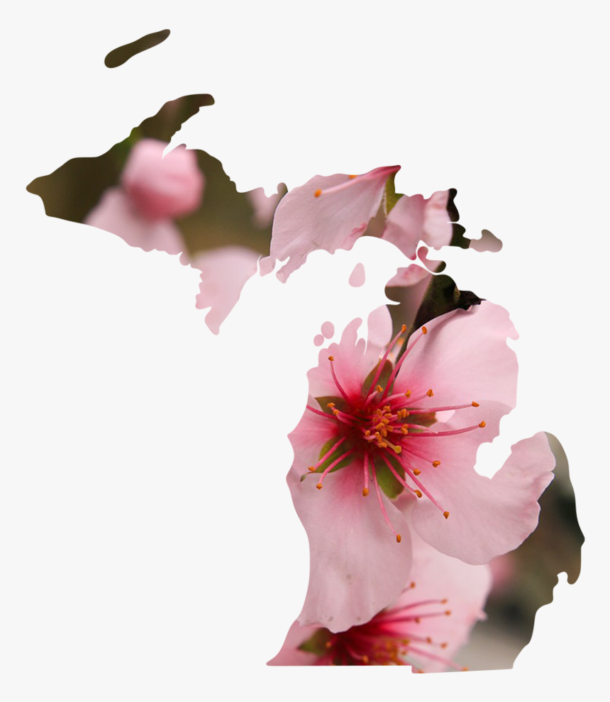 Michigan, HD Png Download, Free Download