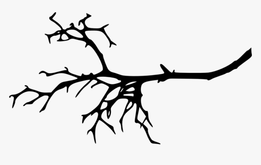 Tree Branch Silhouette Png - Tree Branch Vector Silhouette, Transparent Png, Free Download