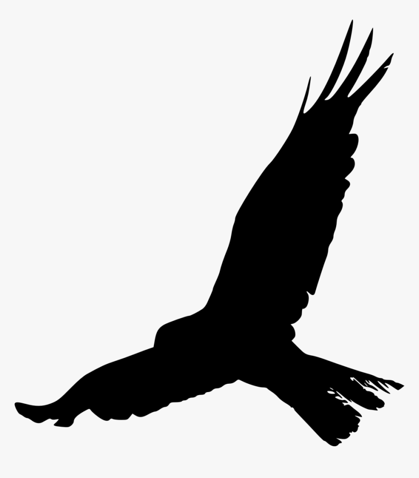 Png Images Of Birds - Free Bird Silhouette Png, Transparent Png, Free Download