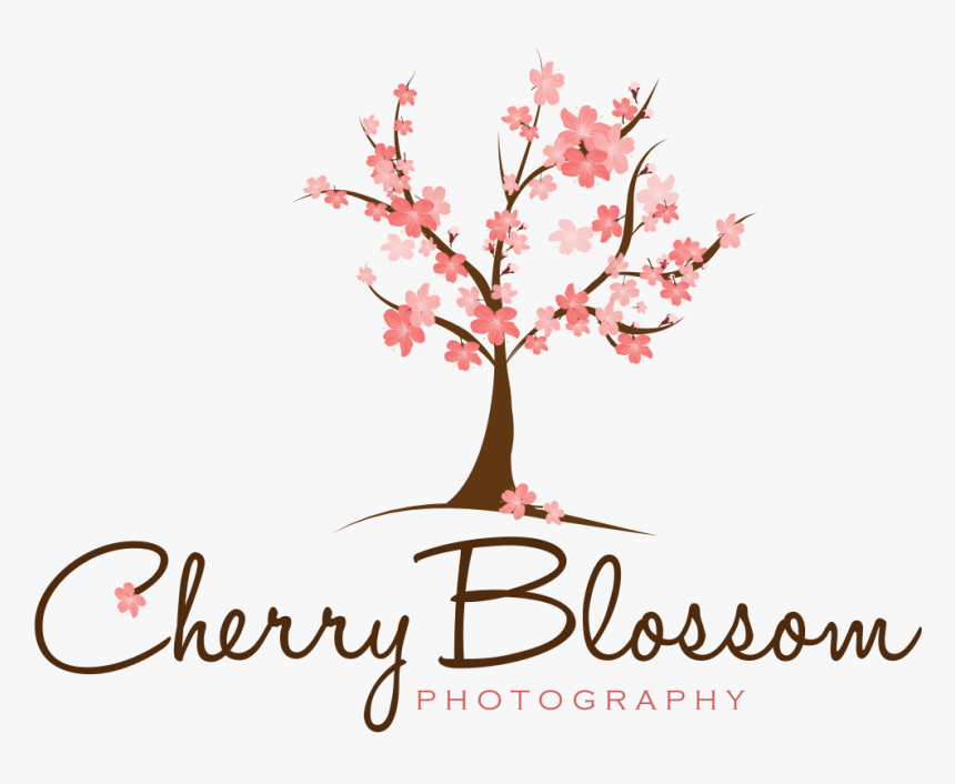 Cherryblossom2 - Luffa, HD Png Download, Free Download