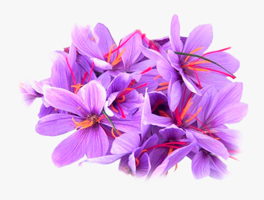 Iranian Negin Saffron, HD Png Download, Free Download