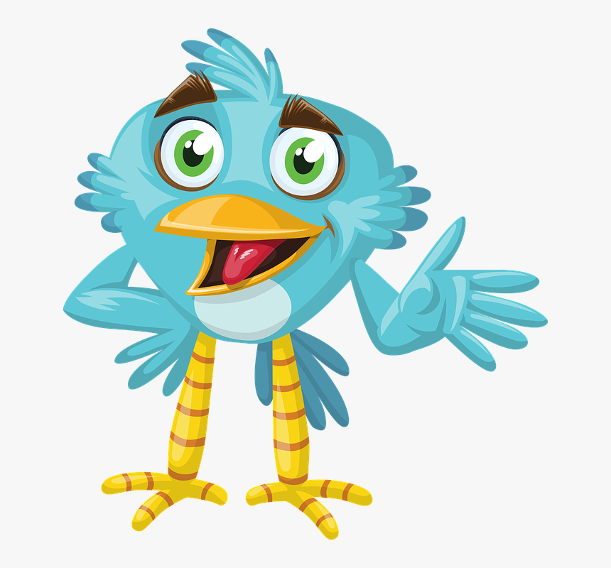 Bird, Animal, Blue, Beak, Wild, Cute, Zoo, Eyes, Pet - Beak, HD Png Download, Free Download