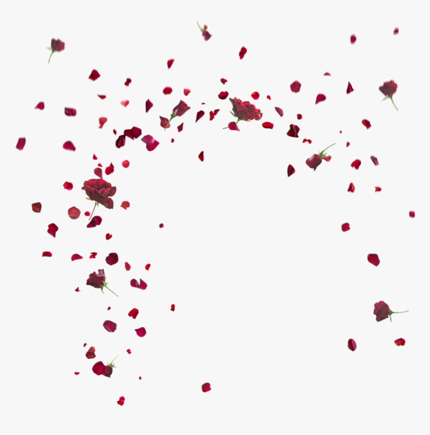 Falling Rose Petals Png Pic - Leaves Png For Picsart, Transparent Png, Free Download