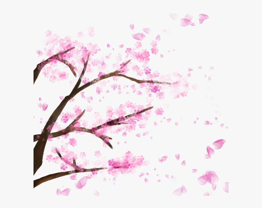 Clip Art Sakura Blooming - Sakura Tree Transparent Background, HD Png Download, Free Download