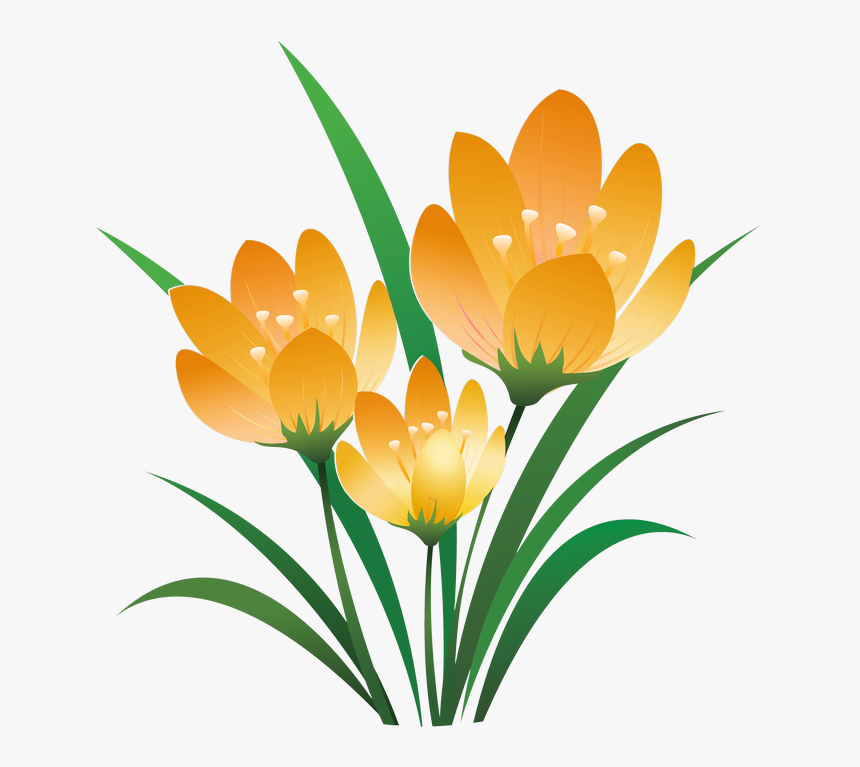 Crocus Drawing Snow Painting Huge Freebie Download - Eid Sms In Bangla, HD Png Download, Free Download