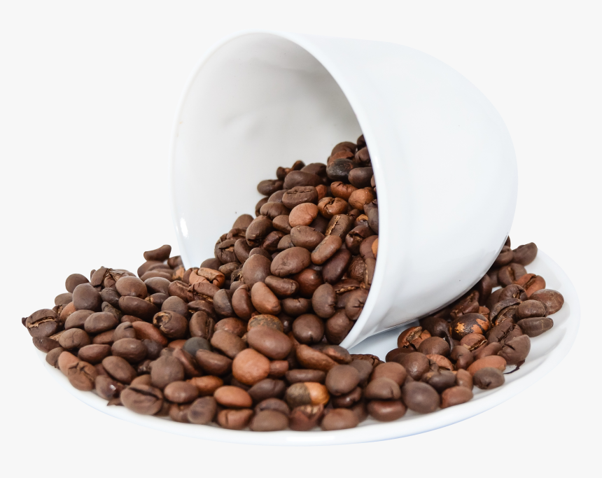 Coffee Bean Png Free, Transparent Png, Free Download