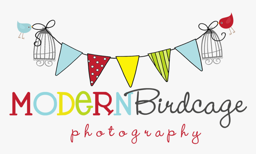Modern Birdcage Photography - Besties, HD Png Download, Free Download