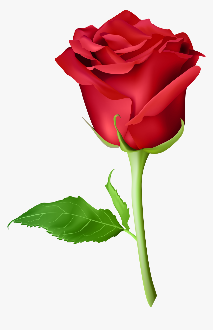 Picsart Rose Png Hd, Transparent Png, Free Download