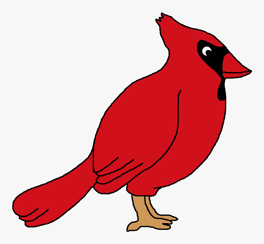 Red Cardinal Bird Clip Art Cardinal Clipart Hd Png Download Kindpng