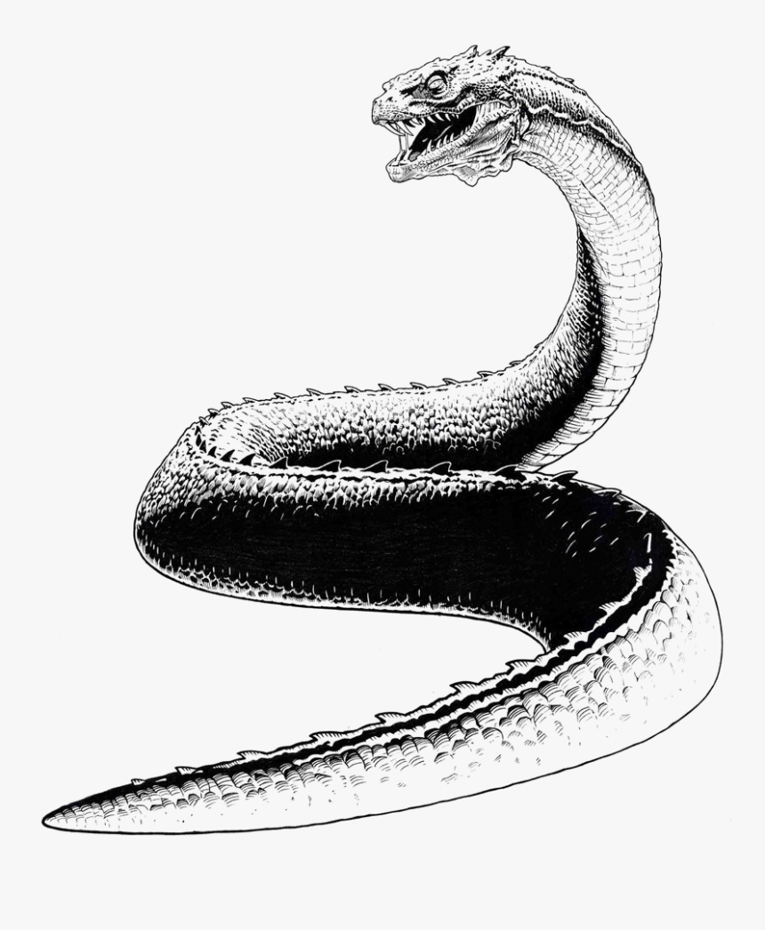 Basilisk Snake Png Pic, Transparent Png, Free Download