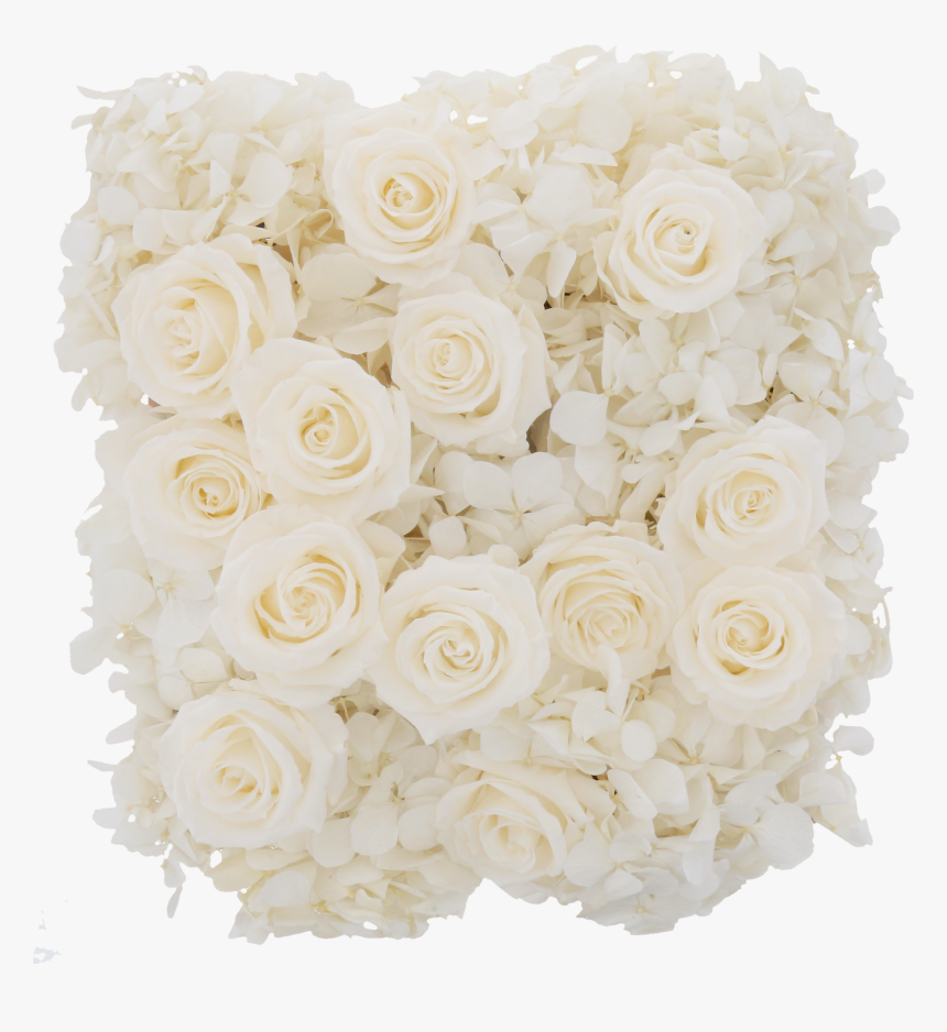 Hydrangea Rose Box - Hybrid Tea Rose, HD Png Download, Free Download