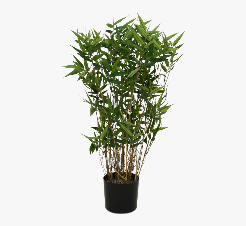 Single Bamboo Tree Png - Potted Bamboo Png, Transparent Png, Free Download
