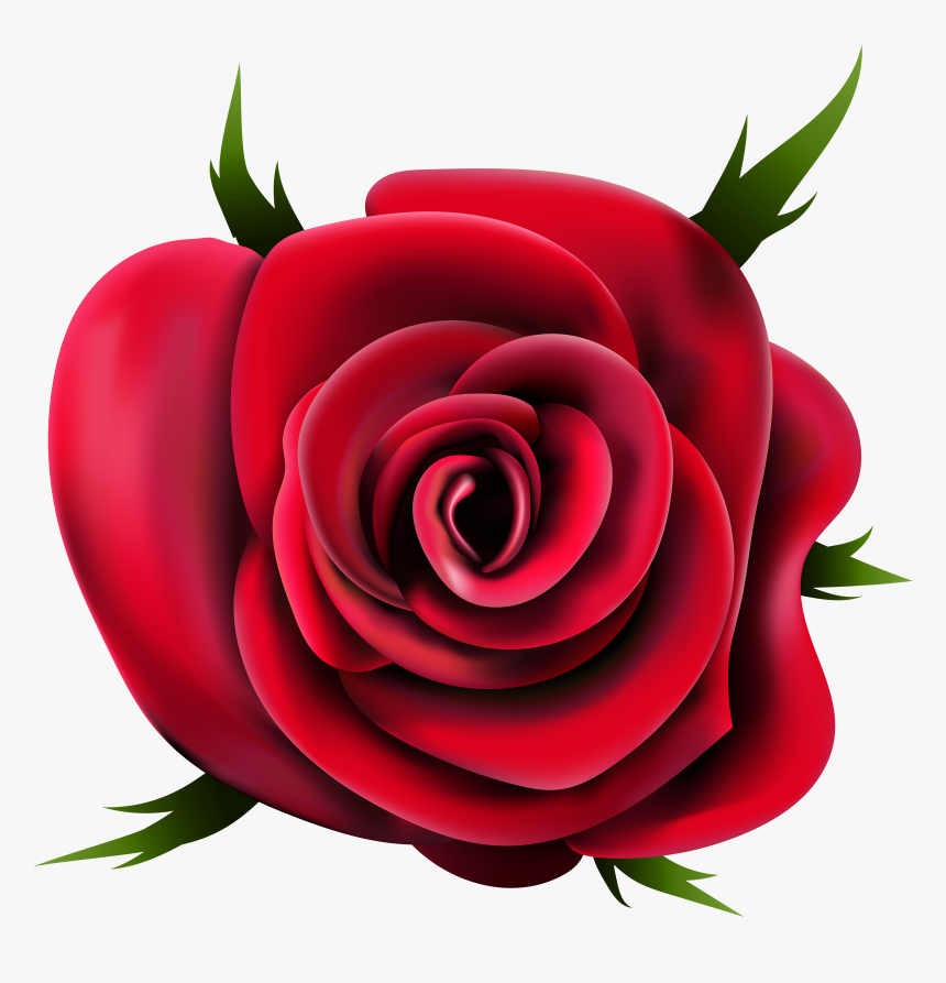 Download Rose Free Transparent - Rose Png, Png Download, Free Download