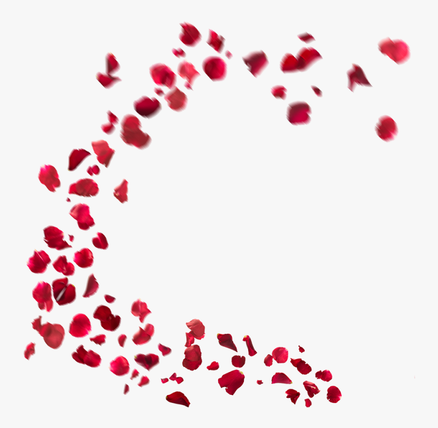 Falling Rose Petals Png Hd - Effect Png For Picsart, Transparent Png, Free Download