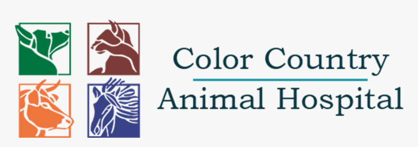 Color Country Animal Hospital - City Country Logo, HD Png Download, Free Download