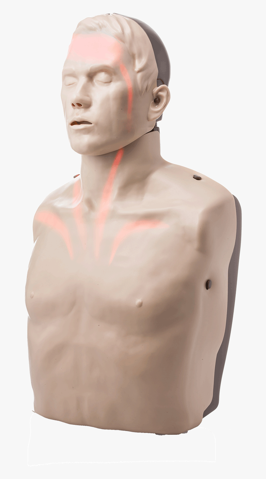 Cpr Mannequins With Light, HD Png Download, Free Download