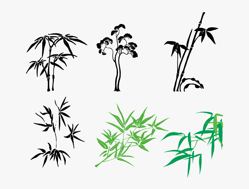 Bamboo Vector Illustrator - Vector Graphics, HD Png Download, Free Download