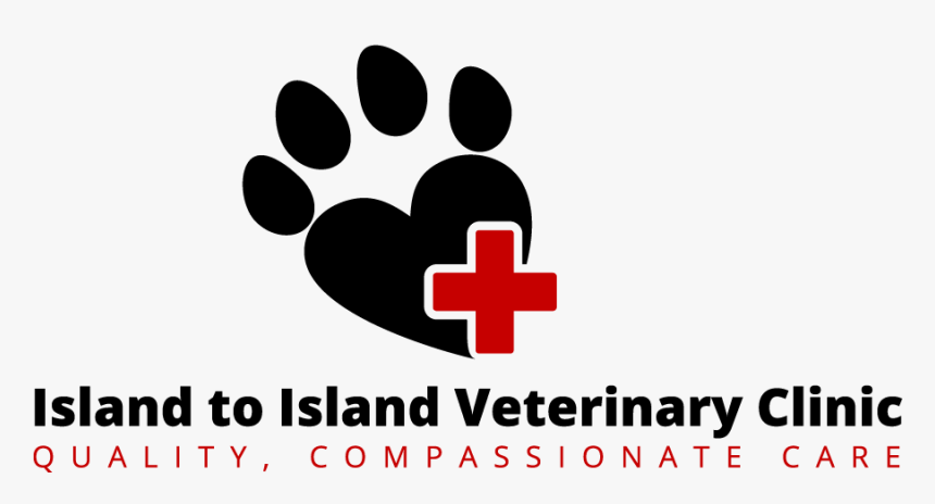 Iivc Logo - Vet Care Logo, HD Png Download, Free Download