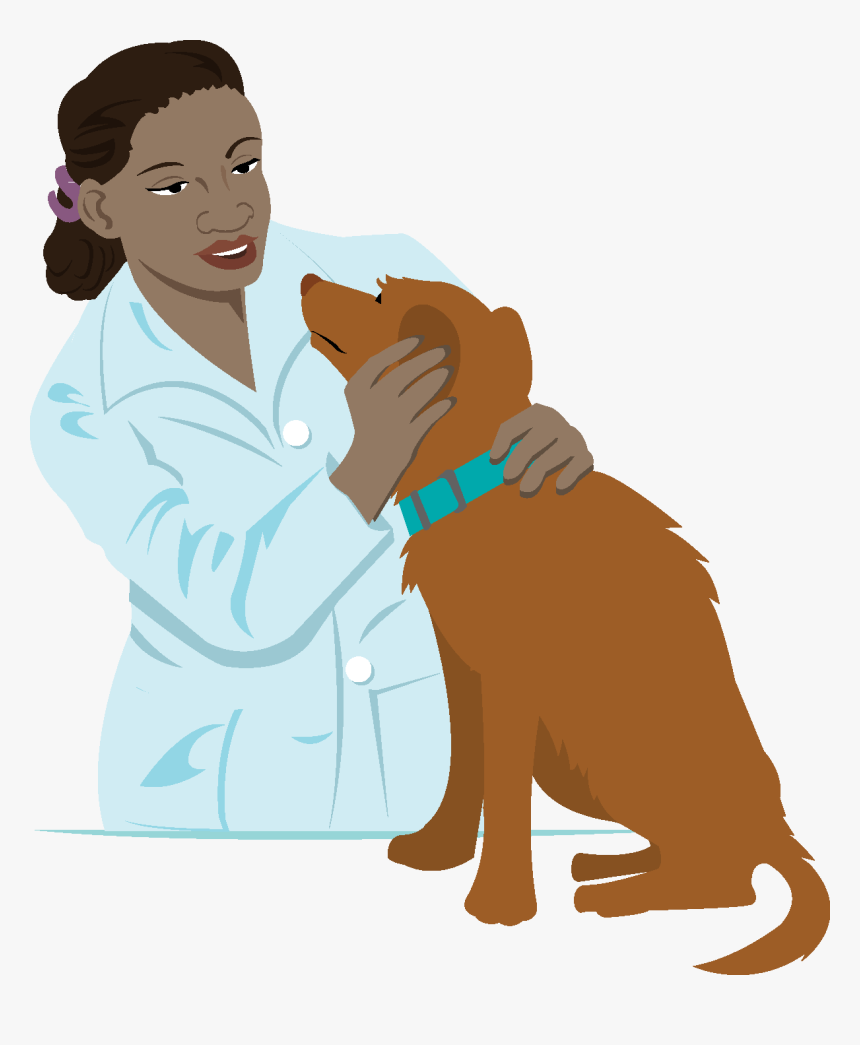 Collection Of Vet - Vet Clipart Png, Transparent Png, Free Download