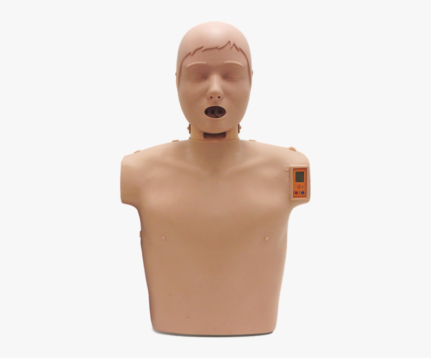 Sunny Cpr Manikin Monitor - Figurine, HD Png Download, Free Download